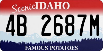ID license plate 4B2687M