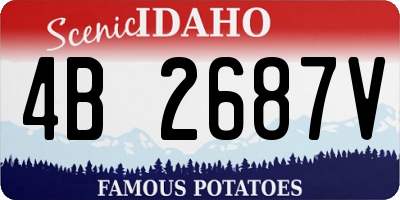 ID license plate 4B2687V