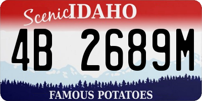 ID license plate 4B2689M
