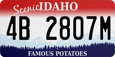 ID license plate 4B2807M