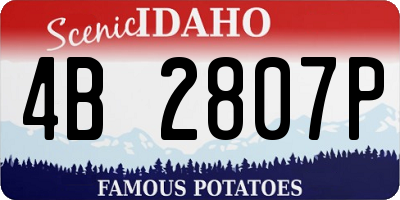 ID license plate 4B2807P