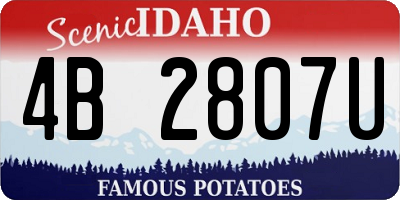 ID license plate 4B2807U
