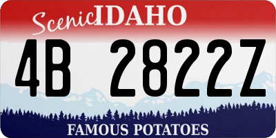ID license plate 4B2822Z