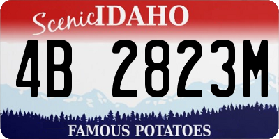 ID license plate 4B2823M