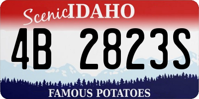 ID license plate 4B2823S