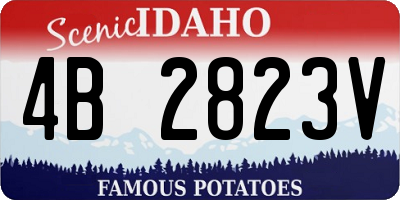 ID license plate 4B2823V