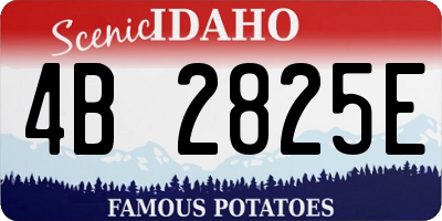 ID license plate 4B2825E