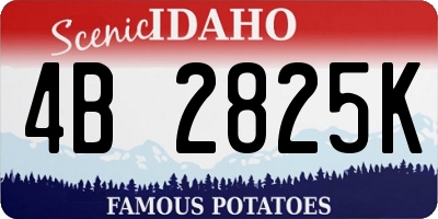 ID license plate 4B2825K