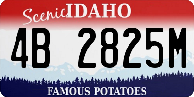 ID license plate 4B2825M