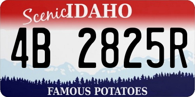 ID license plate 4B2825R