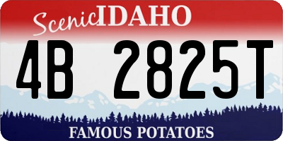 ID license plate 4B2825T