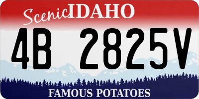 ID license plate 4B2825V