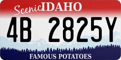ID license plate 4B2825Y