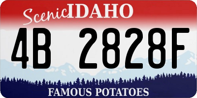 ID license plate 4B2828F