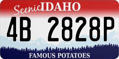 ID license plate 4B2828P
