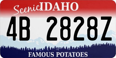 ID license plate 4B2828Z