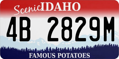 ID license plate 4B2829M