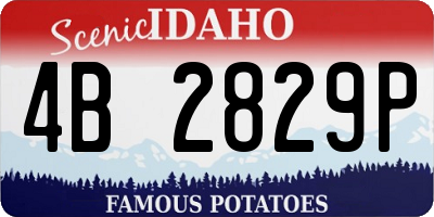 ID license plate 4B2829P