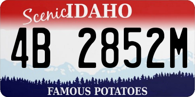 ID license plate 4B2852M