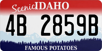 ID license plate 4B2859B