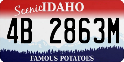 ID license plate 4B2863M