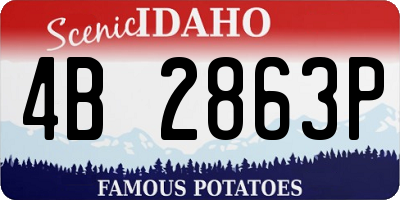 ID license plate 4B2863P
