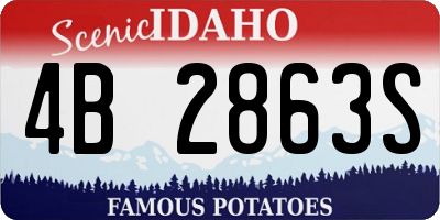ID license plate 4B2863S