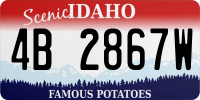 ID license plate 4B2867W