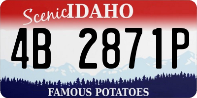 ID license plate 4B2871P