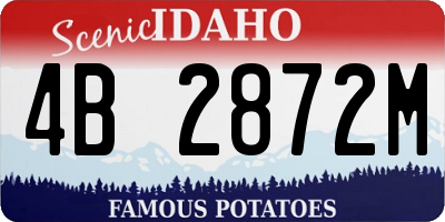 ID license plate 4B2872M