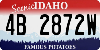 ID license plate 4B2872W