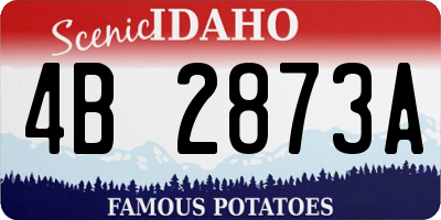 ID license plate 4B2873A
