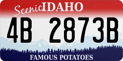 ID license plate 4B2873B