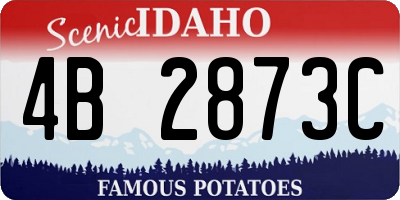 ID license plate 4B2873C