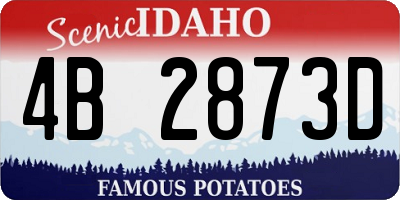 ID license plate 4B2873D