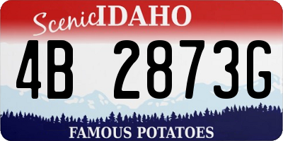 ID license plate 4B2873G