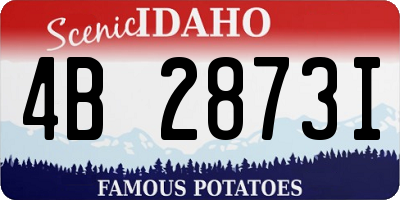 ID license plate 4B2873I