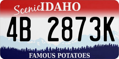 ID license plate 4B2873K