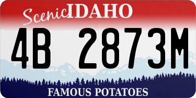 ID license plate 4B2873M