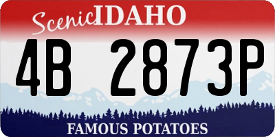 ID license plate 4B2873P