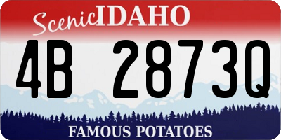 ID license plate 4B2873Q