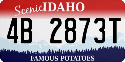 ID license plate 4B2873T