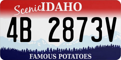 ID license plate 4B2873V