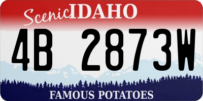 ID license plate 4B2873W