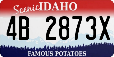 ID license plate 4B2873X