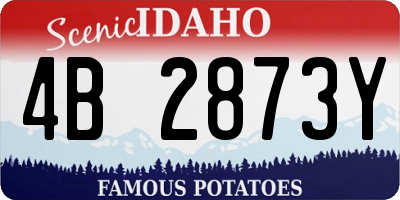 ID license plate 4B2873Y