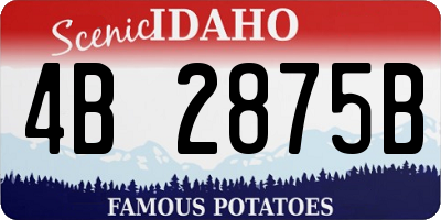 ID license plate 4B2875B