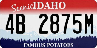 ID license plate 4B2875M