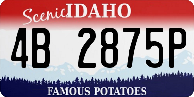 ID license plate 4B2875P