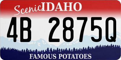 ID license plate 4B2875Q